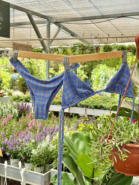 BluePicnic Bottom